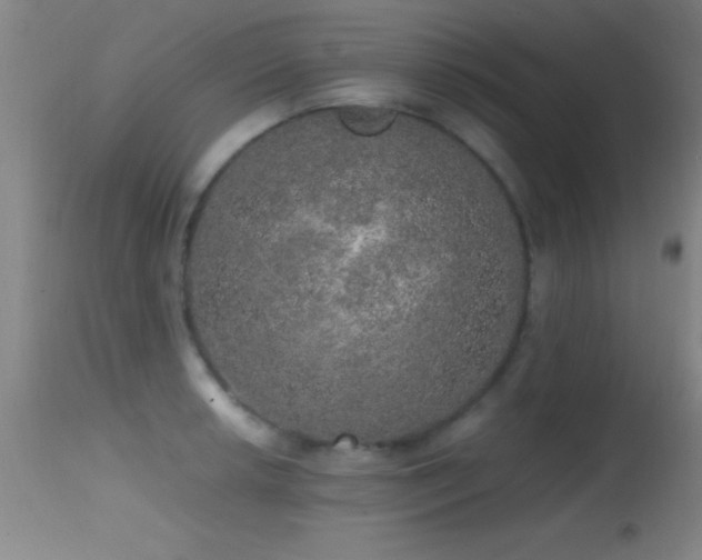 X0000114661042200910201526