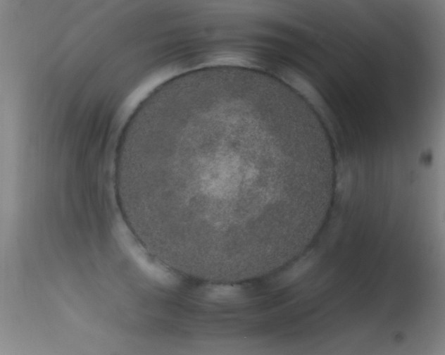 X0000114661043200910201526