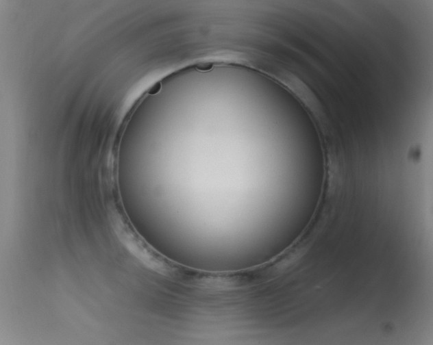 X0000114661044200910201526