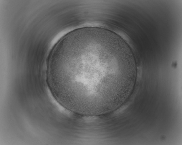 X0000114661046200910201526