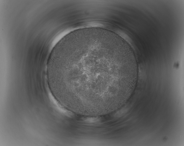 X0000114661047200910201526