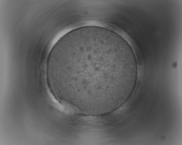 X0000114661048200910201526