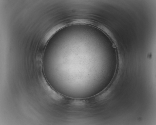 X0000114661049200910201526