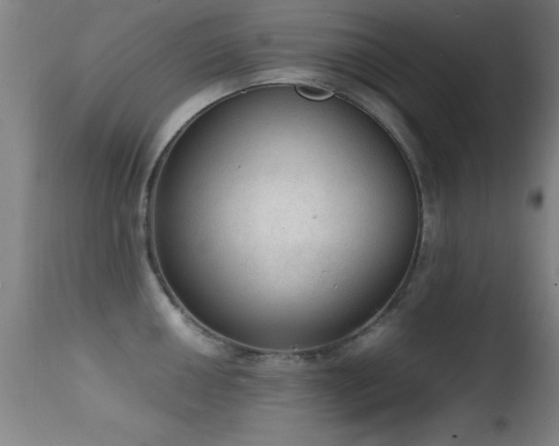 X0000114661050200910201526