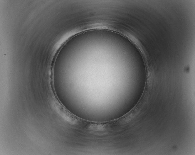 X0000114661051200910201526