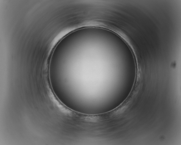 X0000114661053200910201526