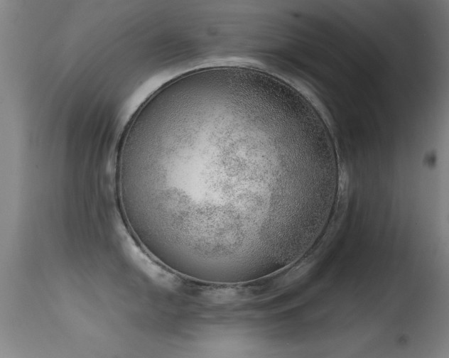 X0000114661054200910201526