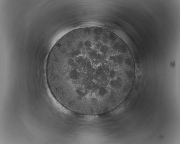 X0000114661055200910201526