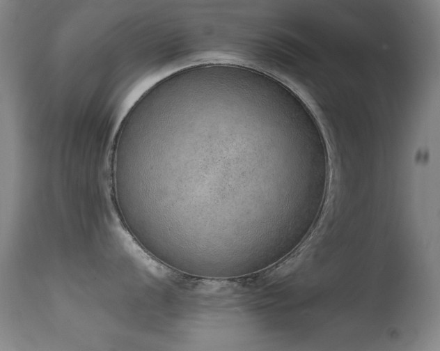 X0000114661056200910201526