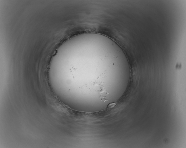 X0000114661057200910201526