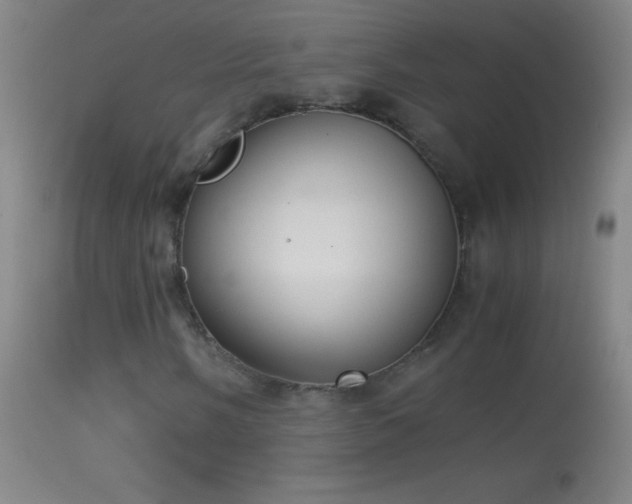 X0000114661058200910201526