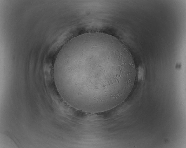 X0000114661059200910201525