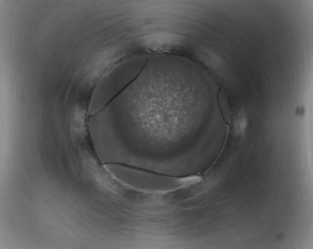 X0000114661060200910201525