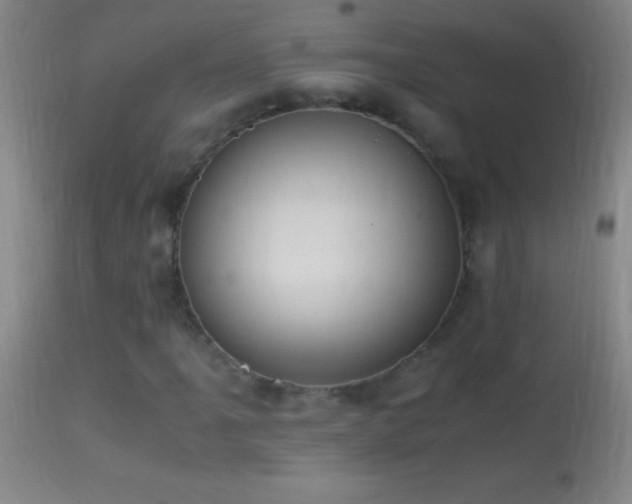 X0000114661061200910201525