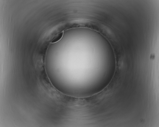 X0000114661062200910201525