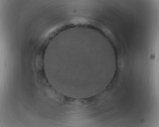 X0000114661063200910201525