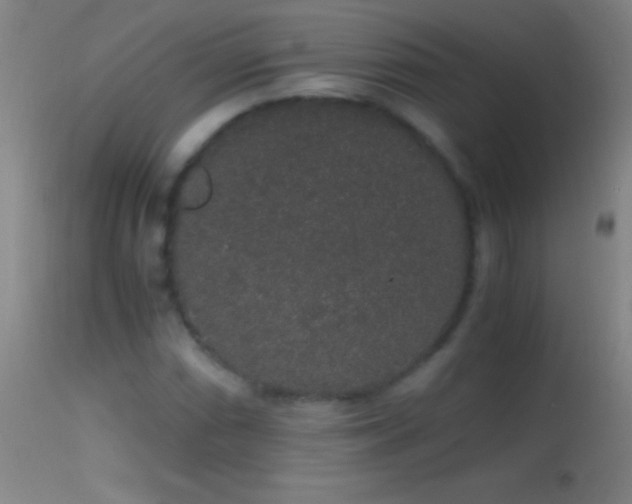 X0000114661066200910201525