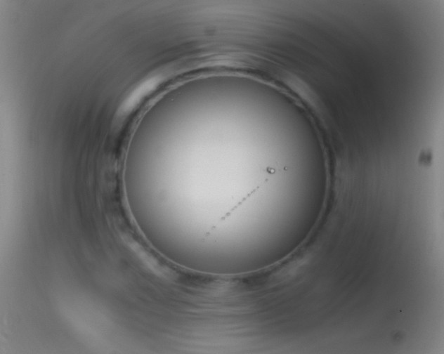 X0000114661067200910201525