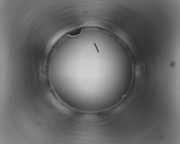 X0000114661068200910201525