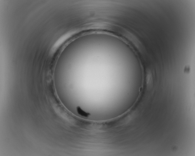 X0000114661069200910201525