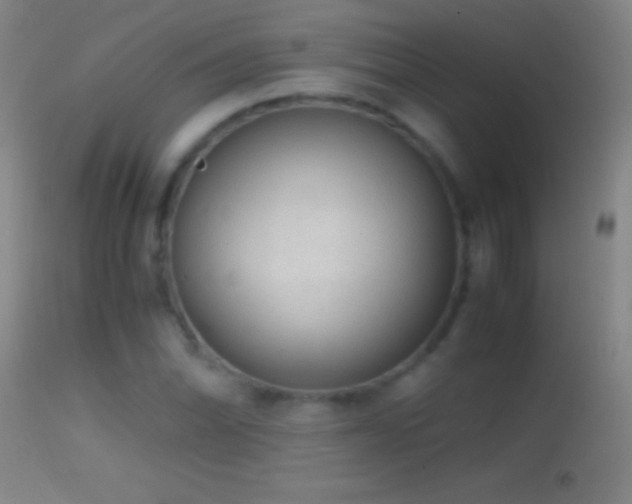 X0000114661070200910201525