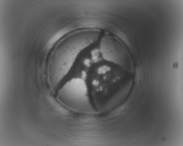 X0000114661071200910201525