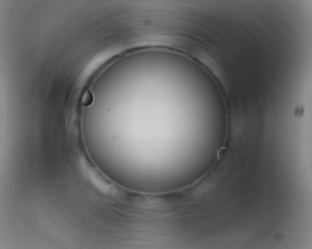 X0000114661072200910201525