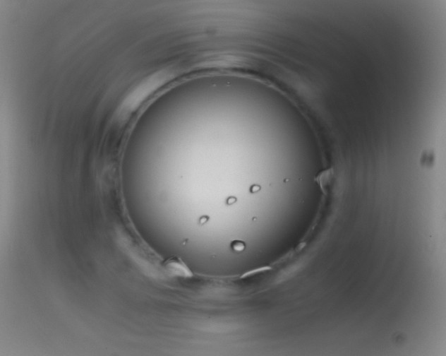 X0000114661073200910201525