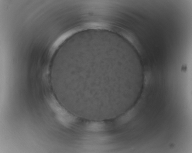 X0000114661074200910201525