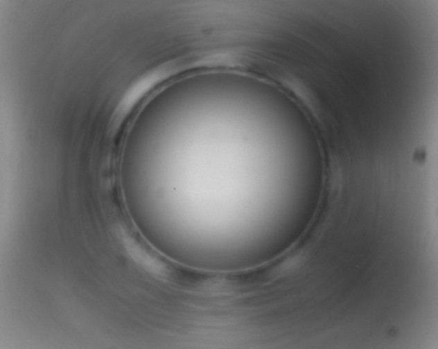 X0000114661075200910201525