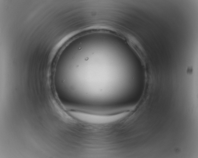 X0000114661076200910201525