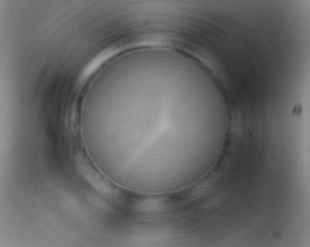 X0000114661078200910201525