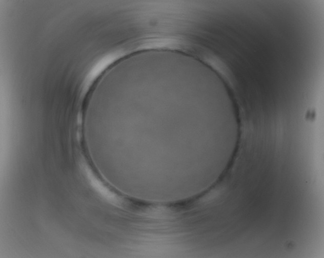 X0000114661079200910201525