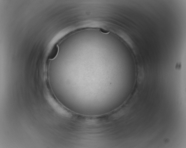 X0000114661080200910201525