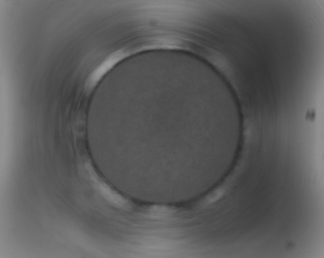 X0000114661081200910201525