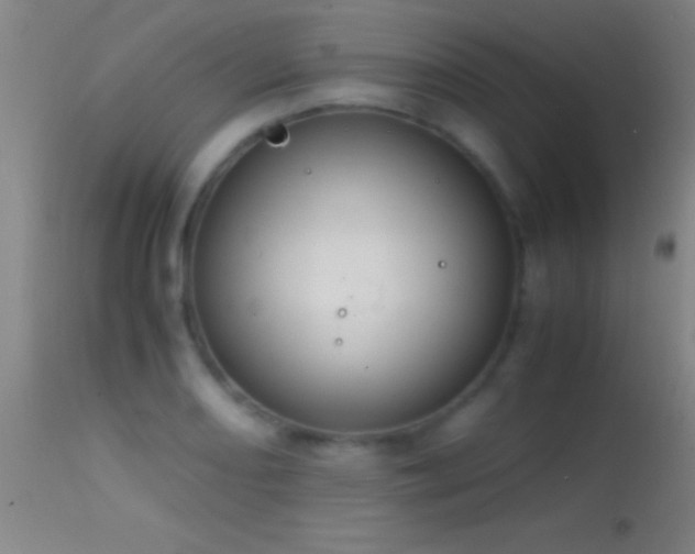 X0000114661082200910201525