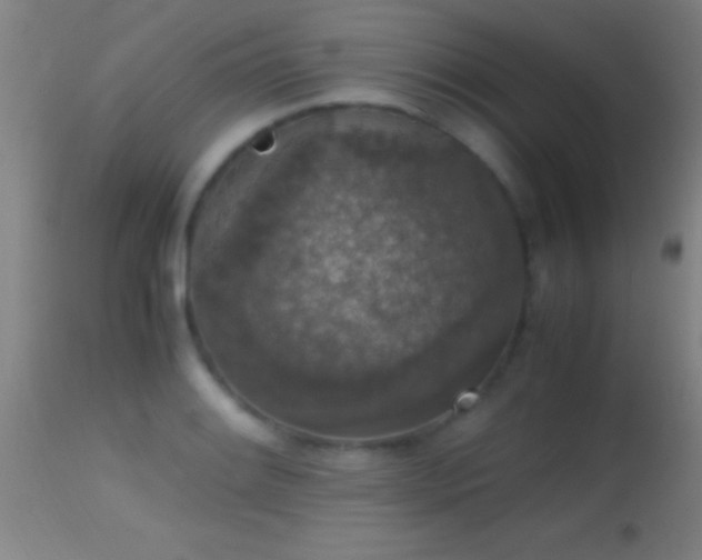 X0000114661084200910201525