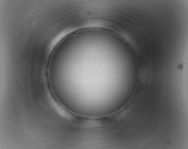 X0000114661086200910201525