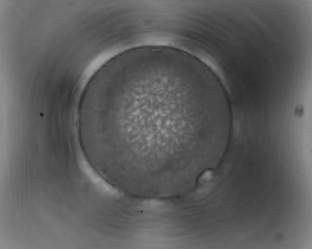 X0000114661088200910201525