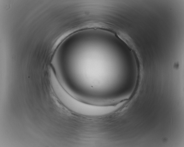 X0000114661089200910201525