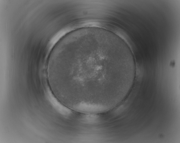 X0000114661090200910201525