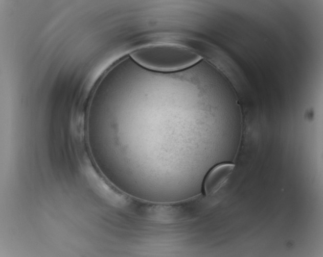 X0000114661092200910201525