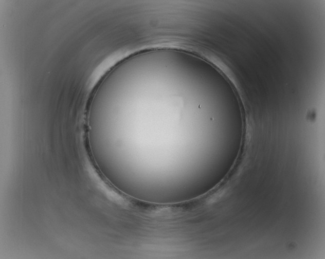 X0000114661093200910201525