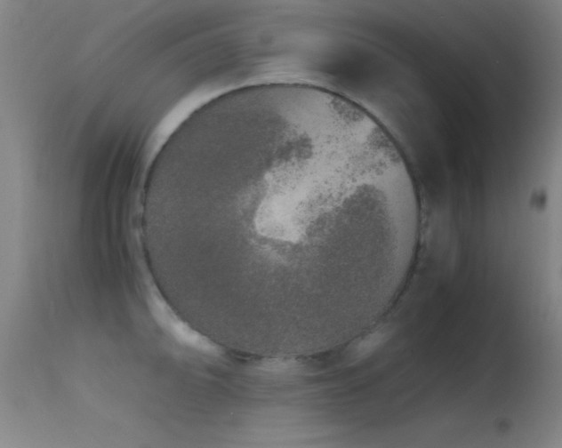 X0000114661094200910201525