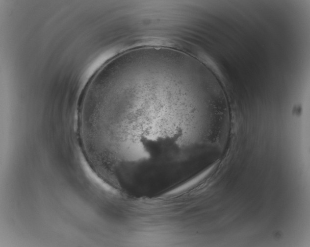 X0000114661095200910201525