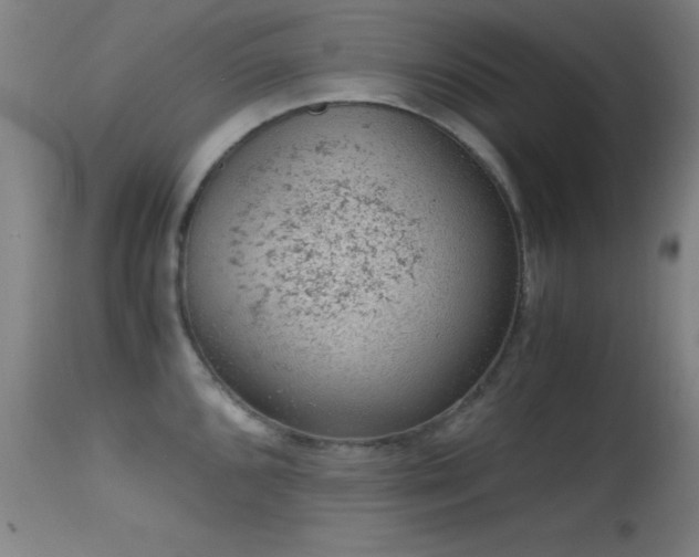 X0000114661096200910201525