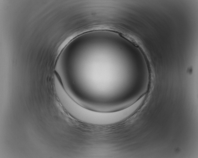 X0000114661097200910201525