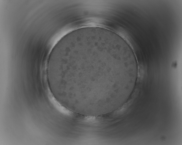 X0000114661098200910201525