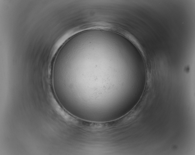 X0000114661099200910201525