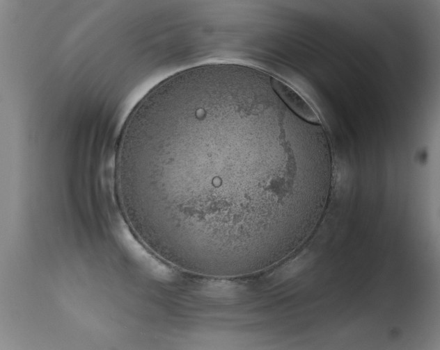 X0000114661100200910201525